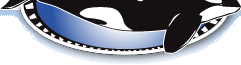 Bayside Painting logo
